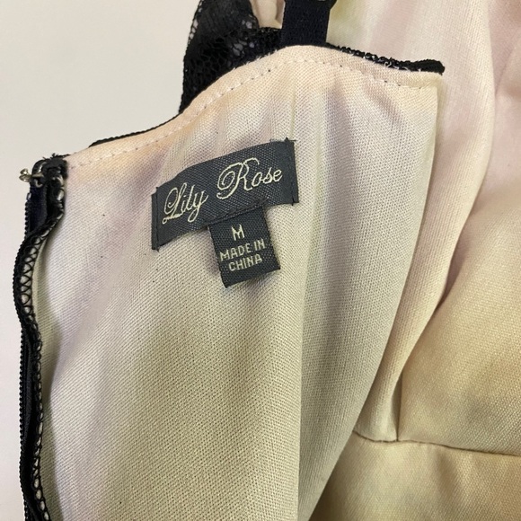 Lily Rose Fit‑&‑Flare Cocktail Dress • Size M • Black & Cream • Removable Glitte - Picture 3 of 4